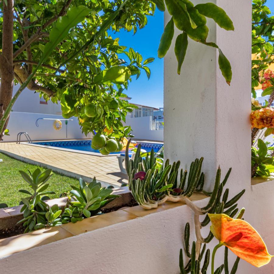 Apartamentos Carruna อัลบูเฟรา ภายนอก รูปภาพ